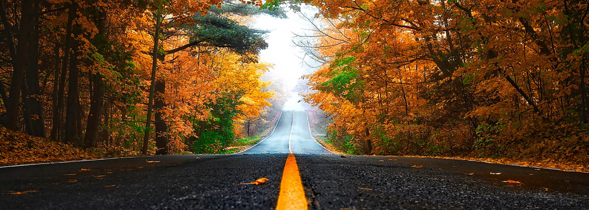 8 AUTUMN CAR ACCESSORIES FOR SAFETY